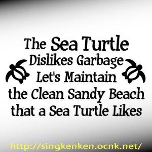 画像1: HONU 海亀 メッセージ