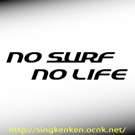No Surf No Life