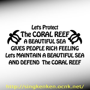 画像1: CORAL REEF 海亀 メッセージ
